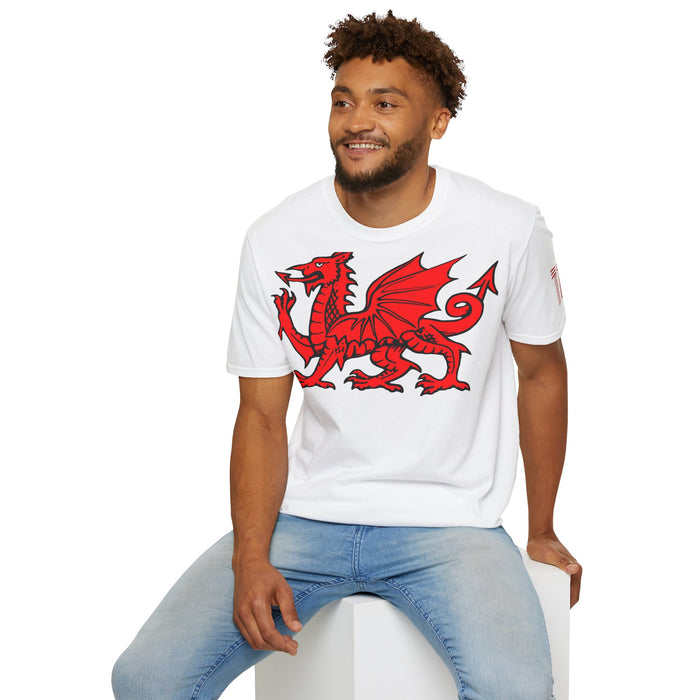 Wales Dragon 11 T-Shirt