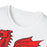 Wales Dragon 11 T-Shirt