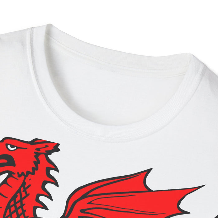 Wales Dragon 11 T-Shirt