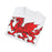 Wales Dragon 11 T-Shirt